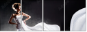 44818291