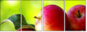 44945564