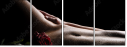 45024953