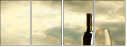 45470449