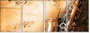 45515921