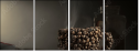 45539882