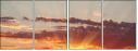 45542699