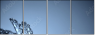 45608102