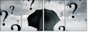 45925119