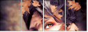 45950456
