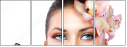 45956799