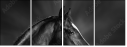 46196337