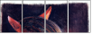 46243808