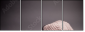 46421983