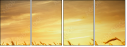 46459823