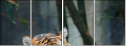 46669646