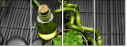 46925109