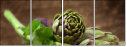 47068124