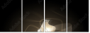 47091704