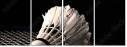 47111850