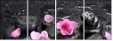 47124830
