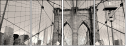 474975916