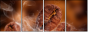 47749181