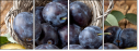 47791254
