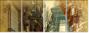 47848489