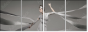 47917557