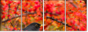 48247670