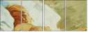 48308195