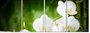 48780391