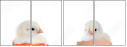 48856718