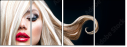 48880493