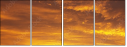 48905885