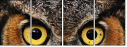 48966303