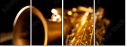 49029894