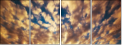 49042592