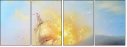 49140904