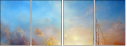 49140908