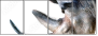 49240267