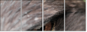 49245808