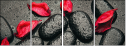49357610