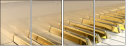 49452516