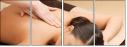49532664