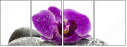 49566180
