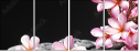 49631888