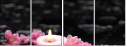 49632183