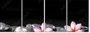 49632963