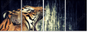 49749076