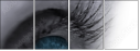 49921743