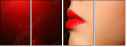 49940645