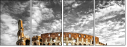 50130515
